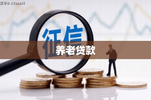 徽县养老贷款