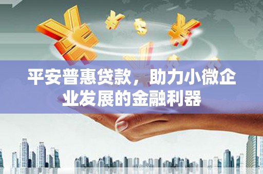 思南平安普惠贷款，助力小微企业发展的金融利器