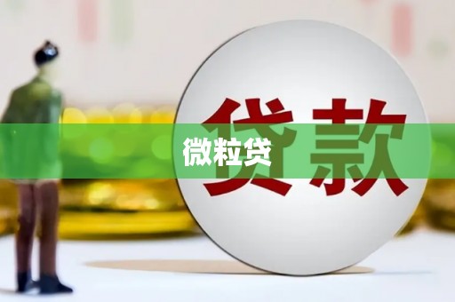 崁顶微粒贷