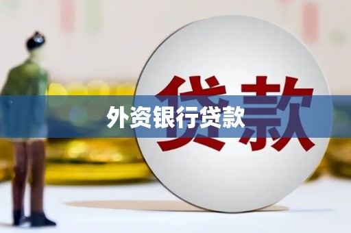 西平外资银行贷款