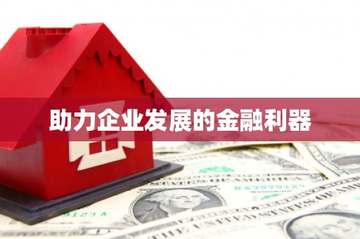 毕节助力企业发展的金融利器