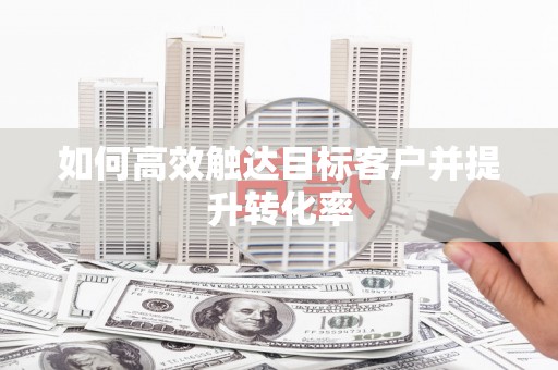 西丰如何高效触达目标客户并提升转化率