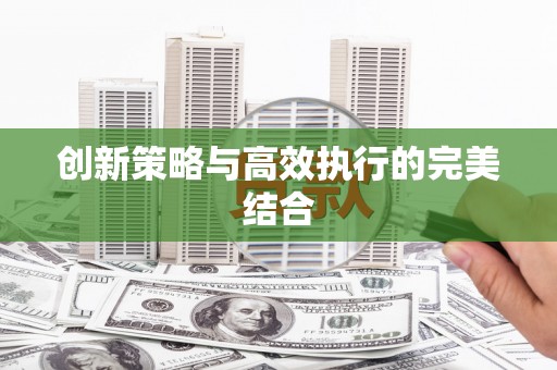 莱城创新策略与高效执行的完美结合